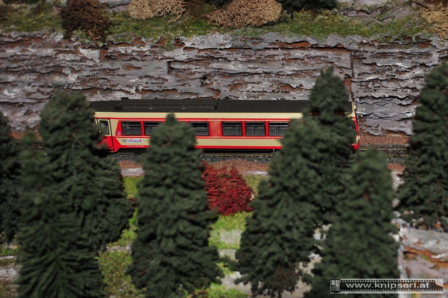 2012.12.26 Eisenbahnfreunde Windischgarsten (3)