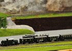 2014.11.23 Spur HOe (14).JPG