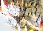 2019.10.11 Modellbahnwelt Schiltern (62)