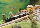 2014.01.06 AMV Arbeiter Modellbahnverein (7)