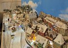 DSC 5906