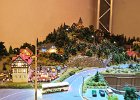 DSC 5917