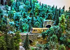 DSC 5998