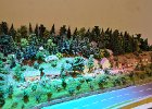 DSC 6008