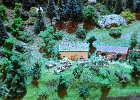 DSC 6010
