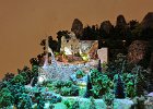 DSC 6019