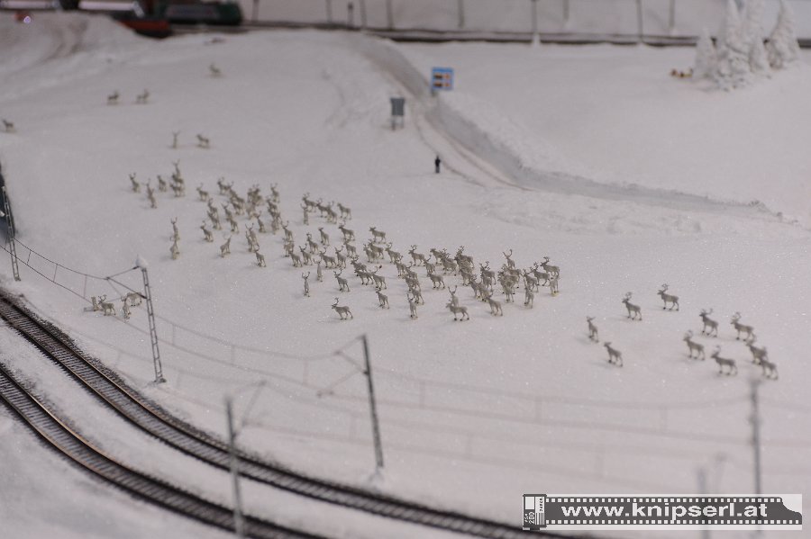 2009.08.07 Miniaturwelt Wunderland Hamburg hinter den Kulissen (7)